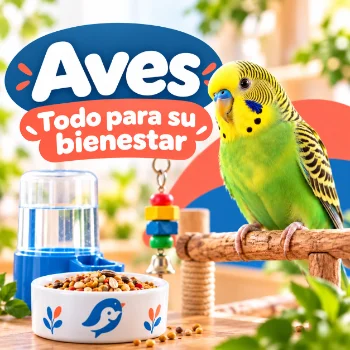 Aves